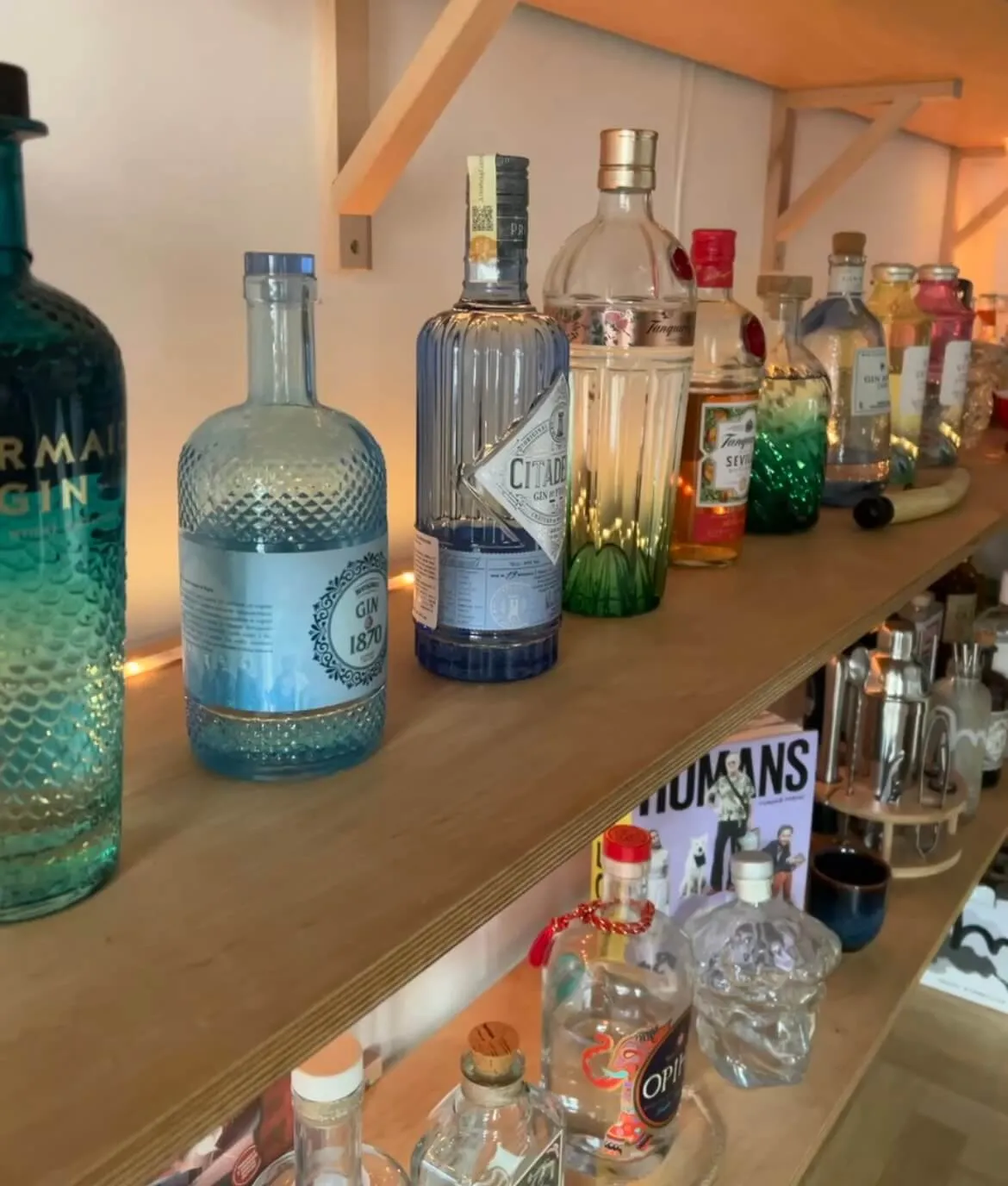 Gin collection